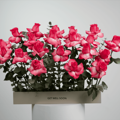 Get well soon roses